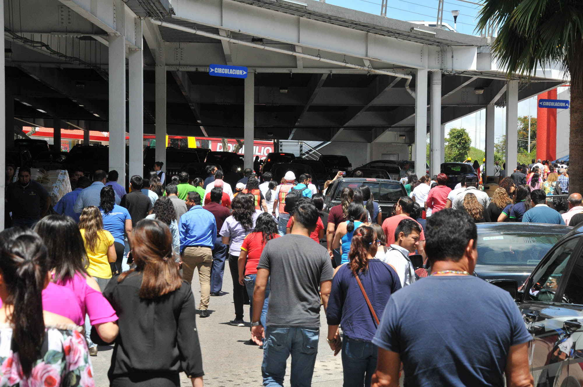 Simulacro Nacional Sismo