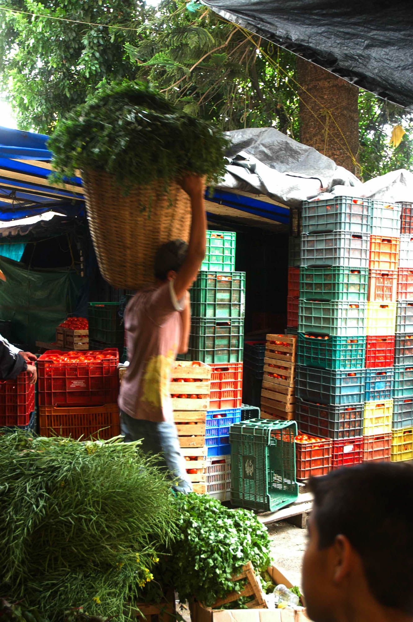 Mercado San José, una tradición en Xalapa