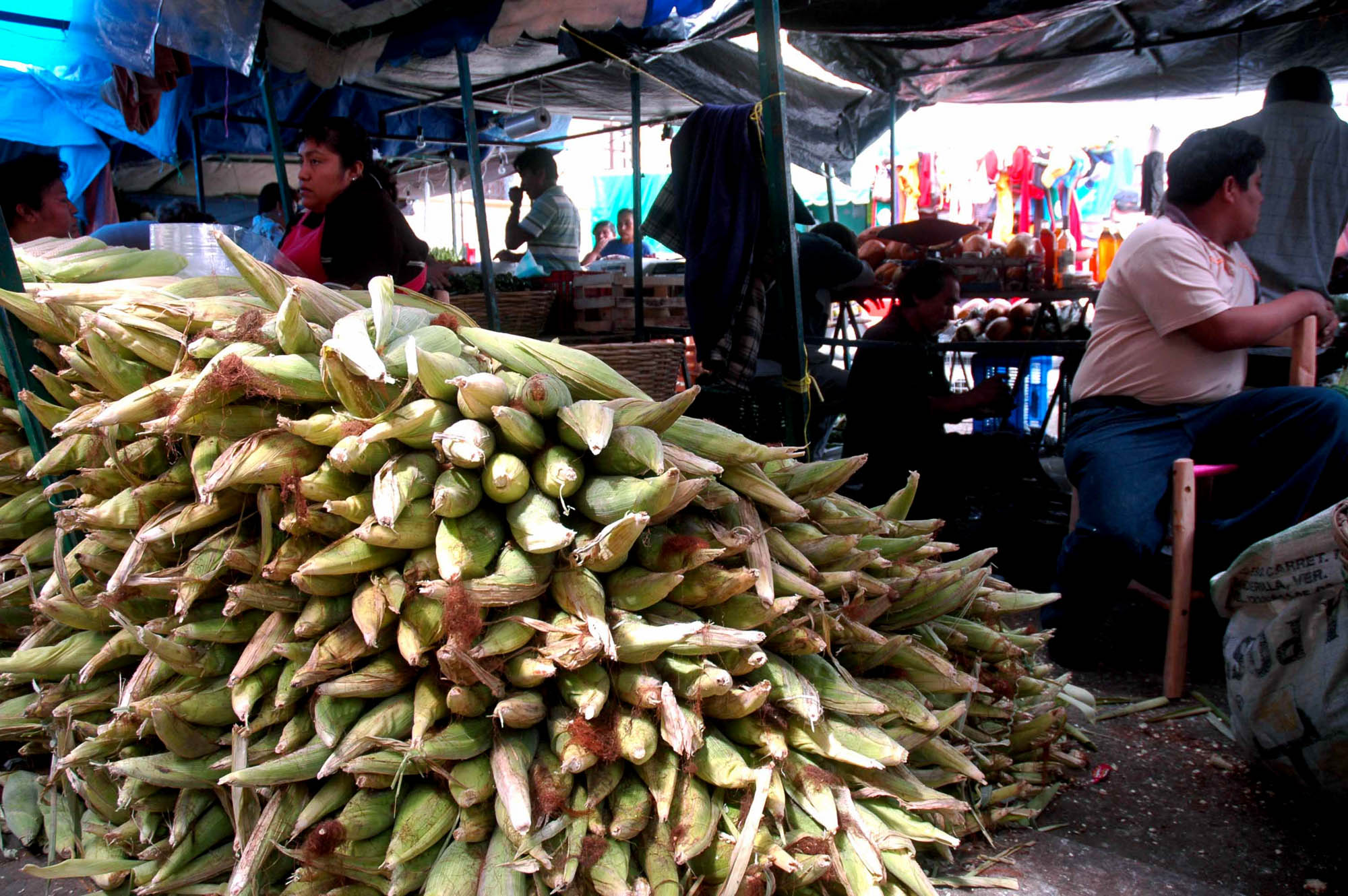 Mercado San José, una tradición en Xalapa