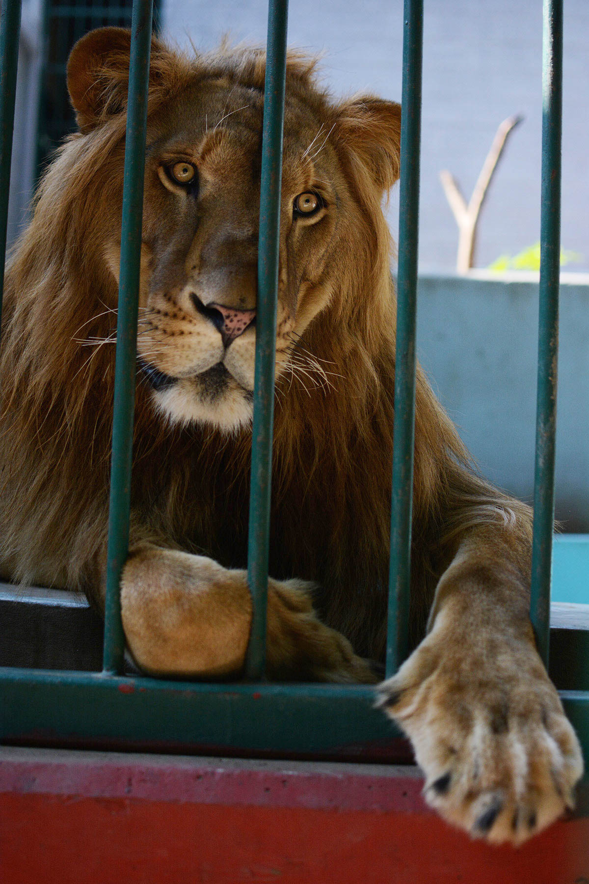 Zoológico en Veracruz