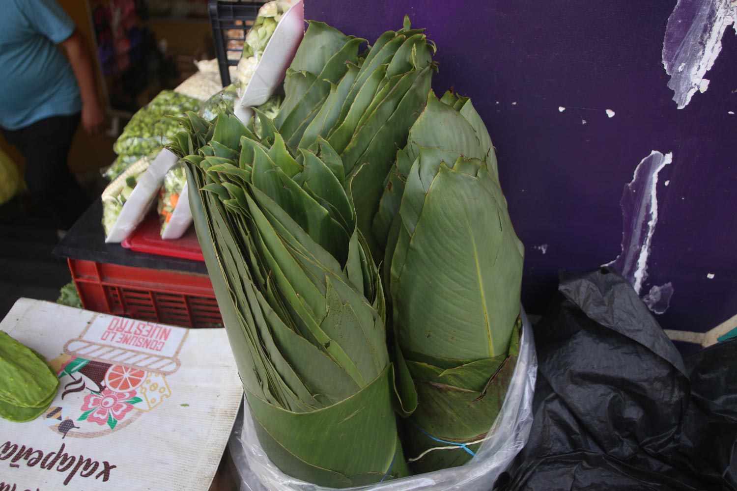 Tamales, carne y pollo