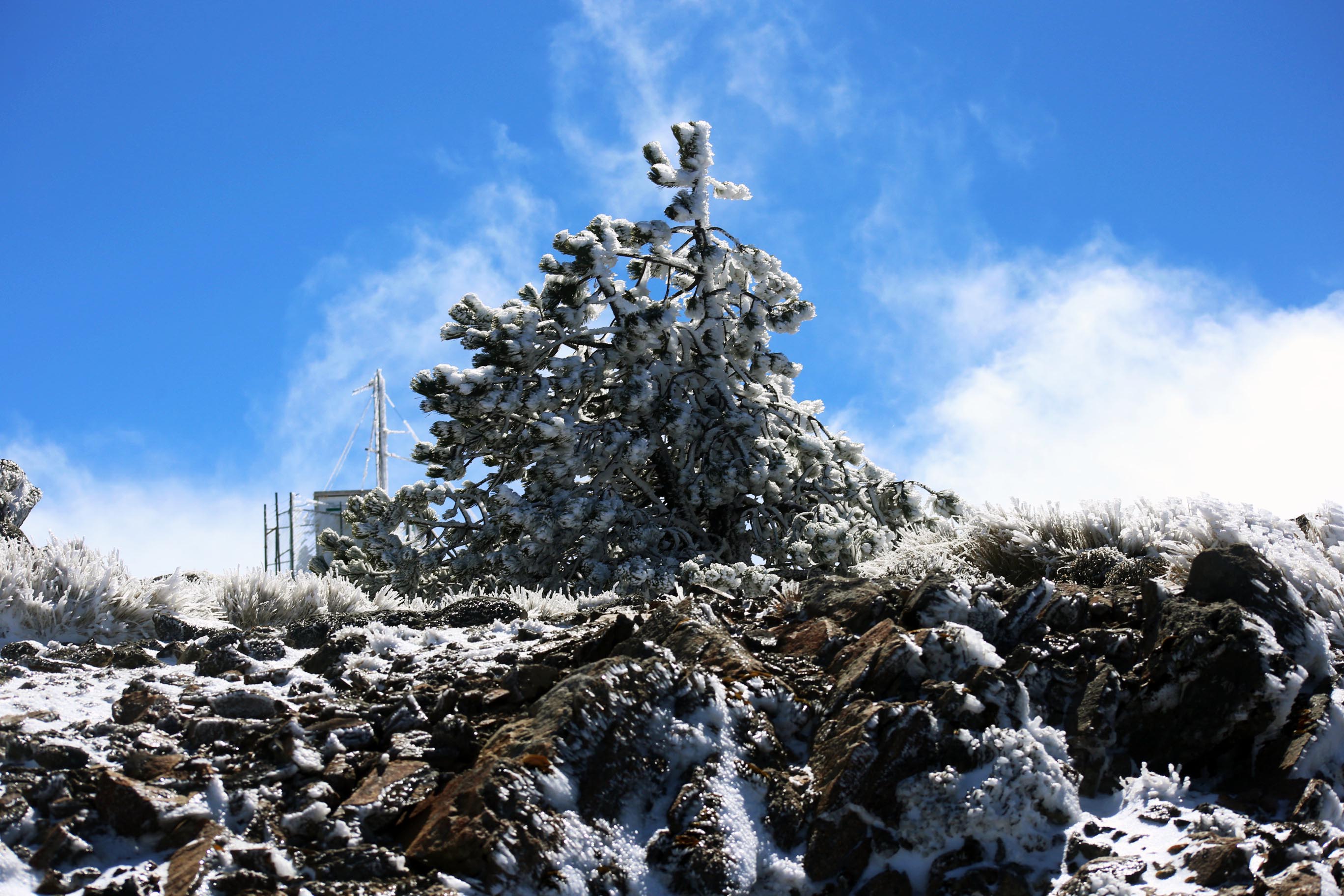 Se registra la cuarta nevada en el Cofre de Perote