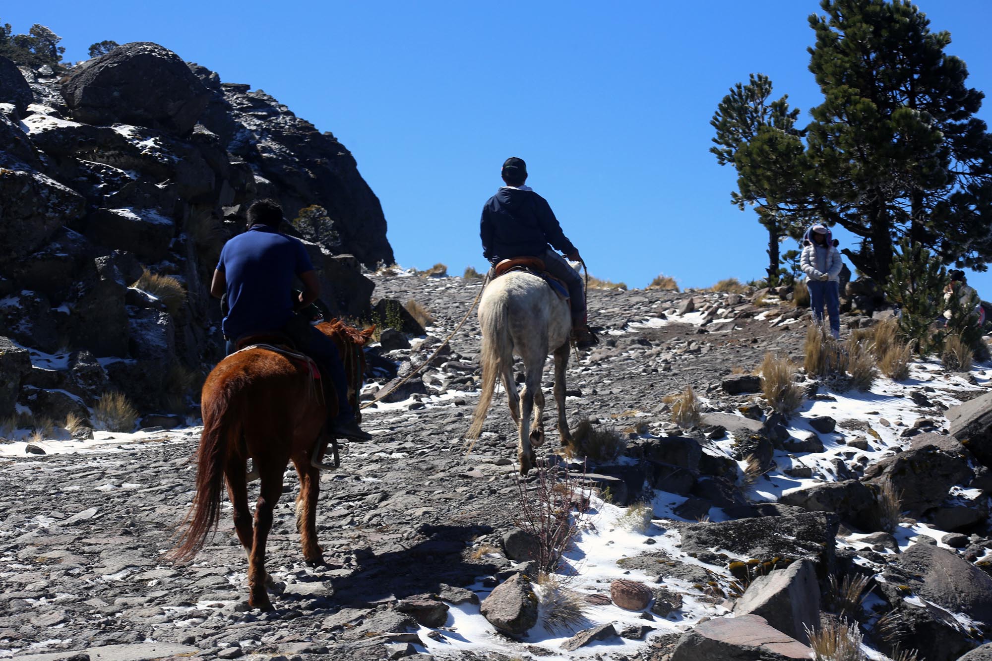 Se registra la cuarta nevada en el Cofre de Perote