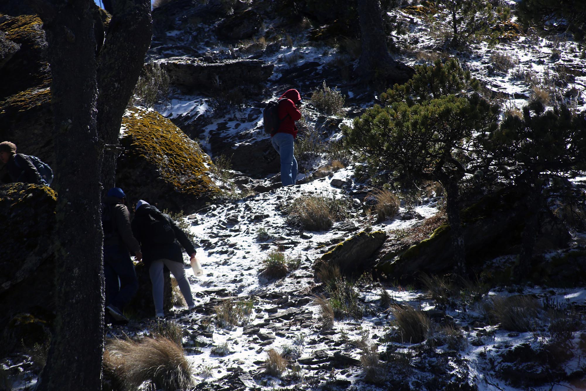 Se registra la cuarta nevada en el Cofre de Perote