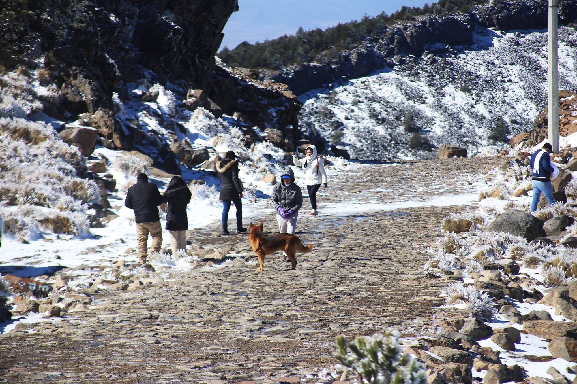 Se registra la cuarta nevada en el Cofre de Perote