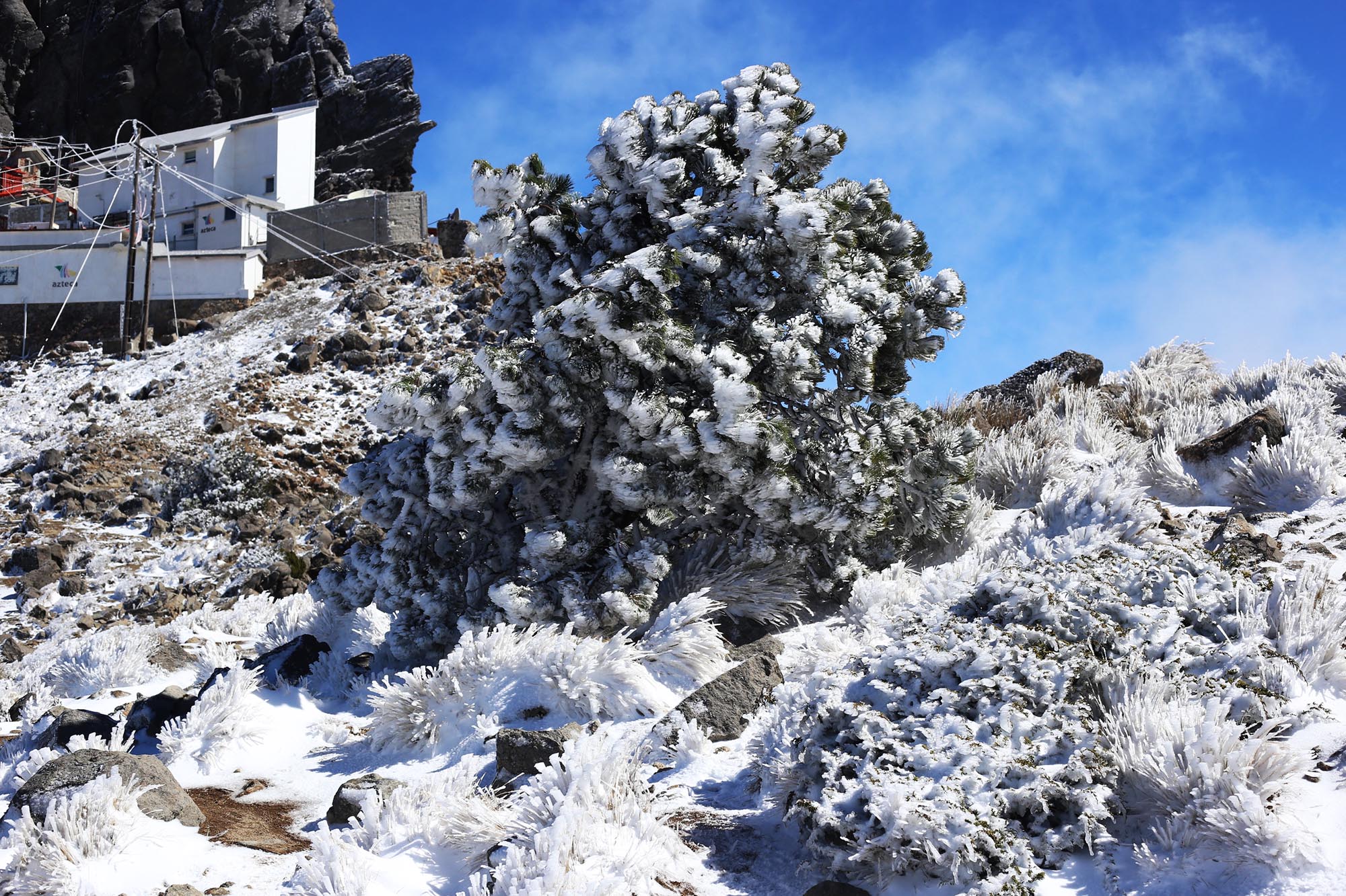 Se registra la cuarta nevada en el Cofre de Perote