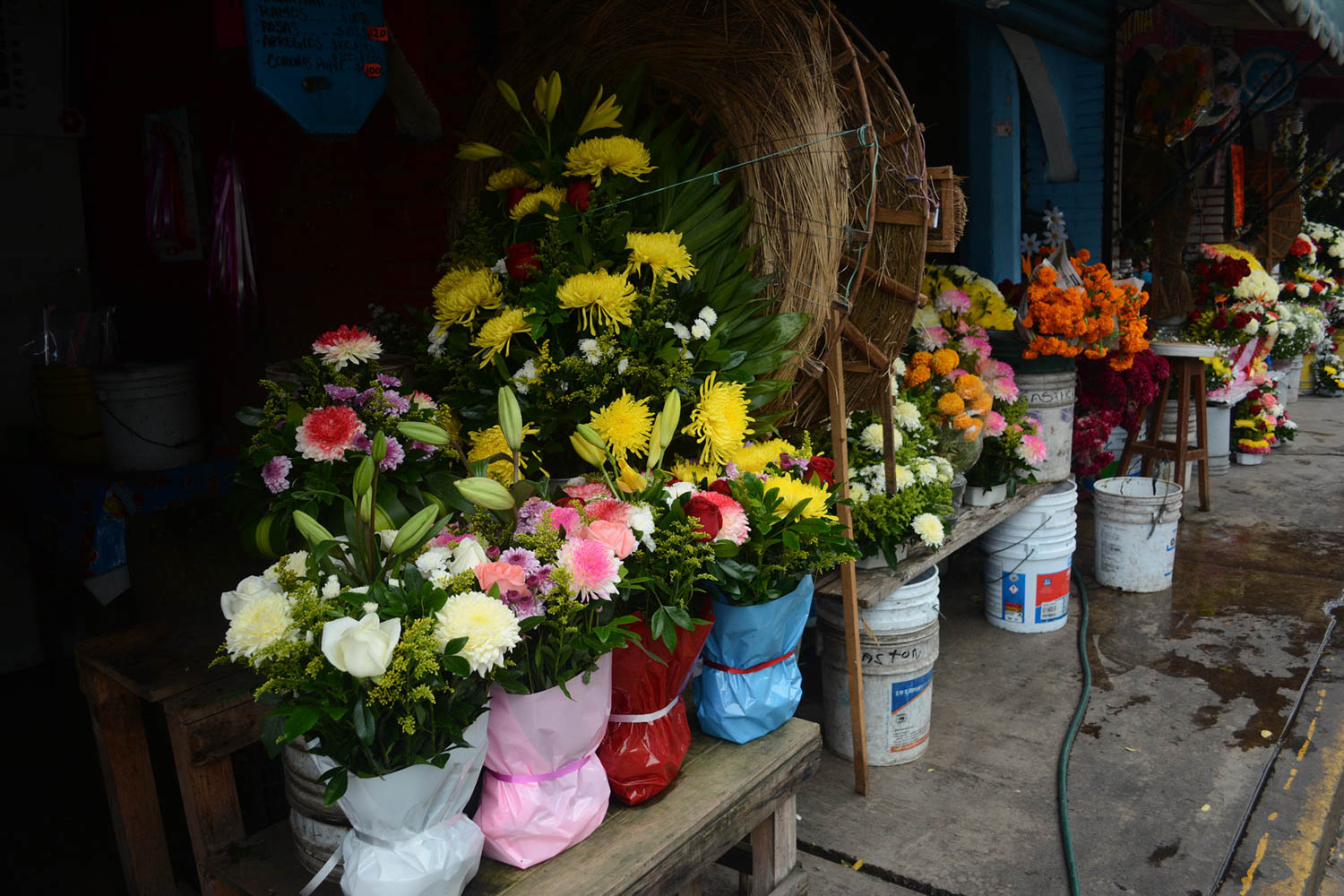 Flor de Cempasúchil o muerto