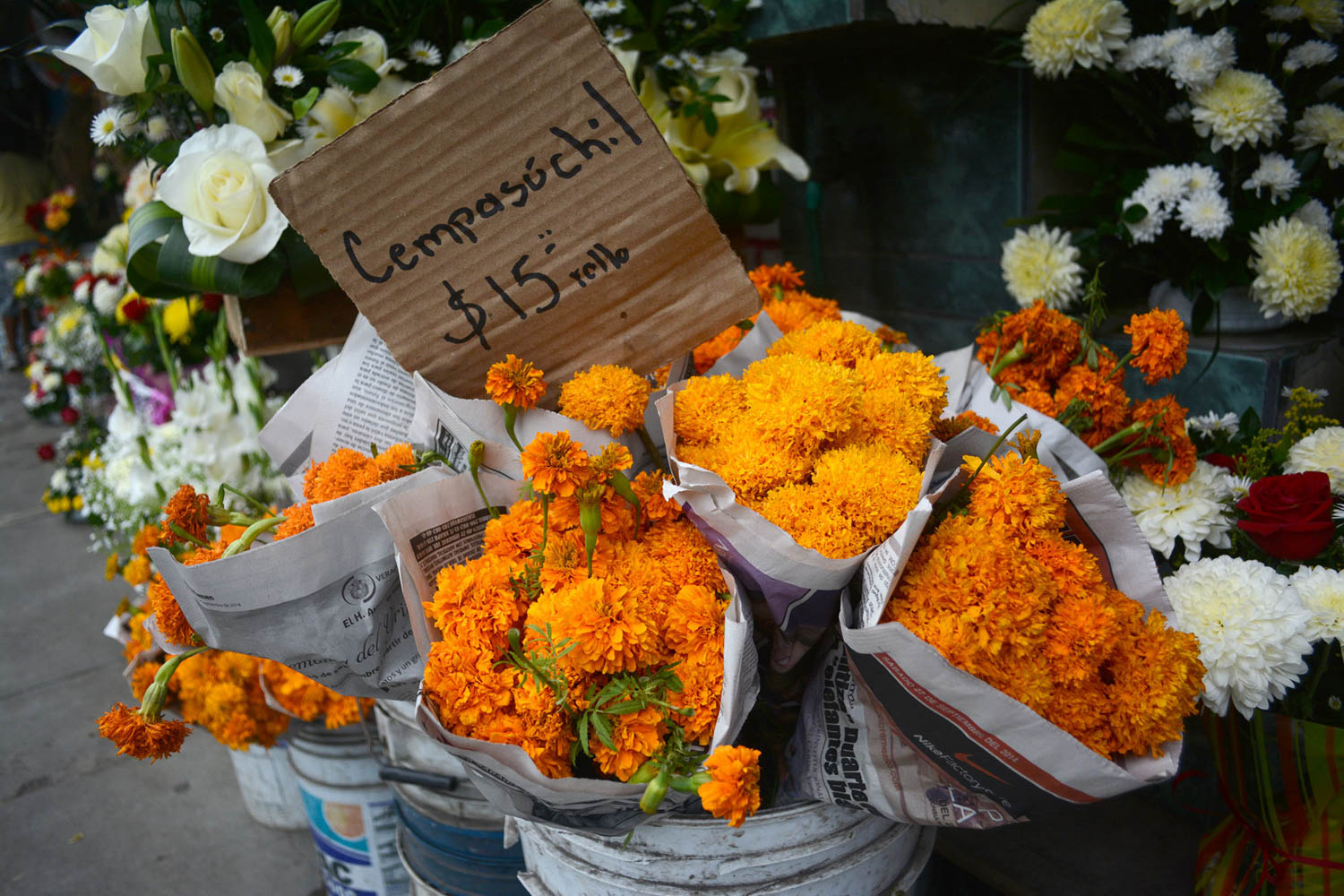 Flor de Cempasúchil o muerto