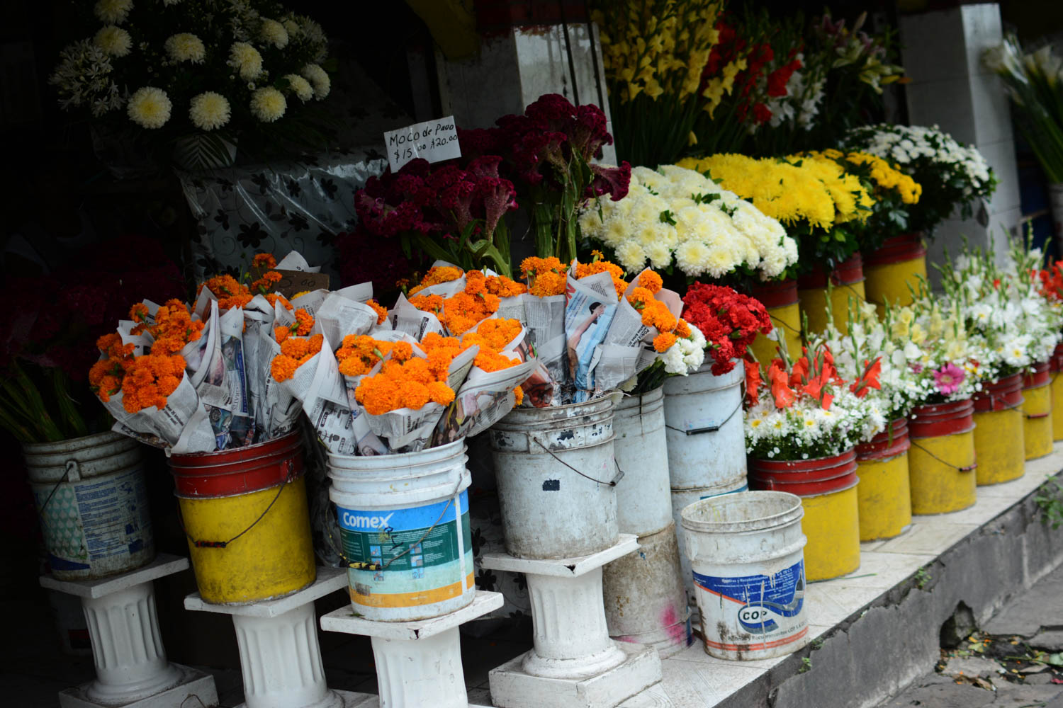 Flor de Cempasúchil o muerto