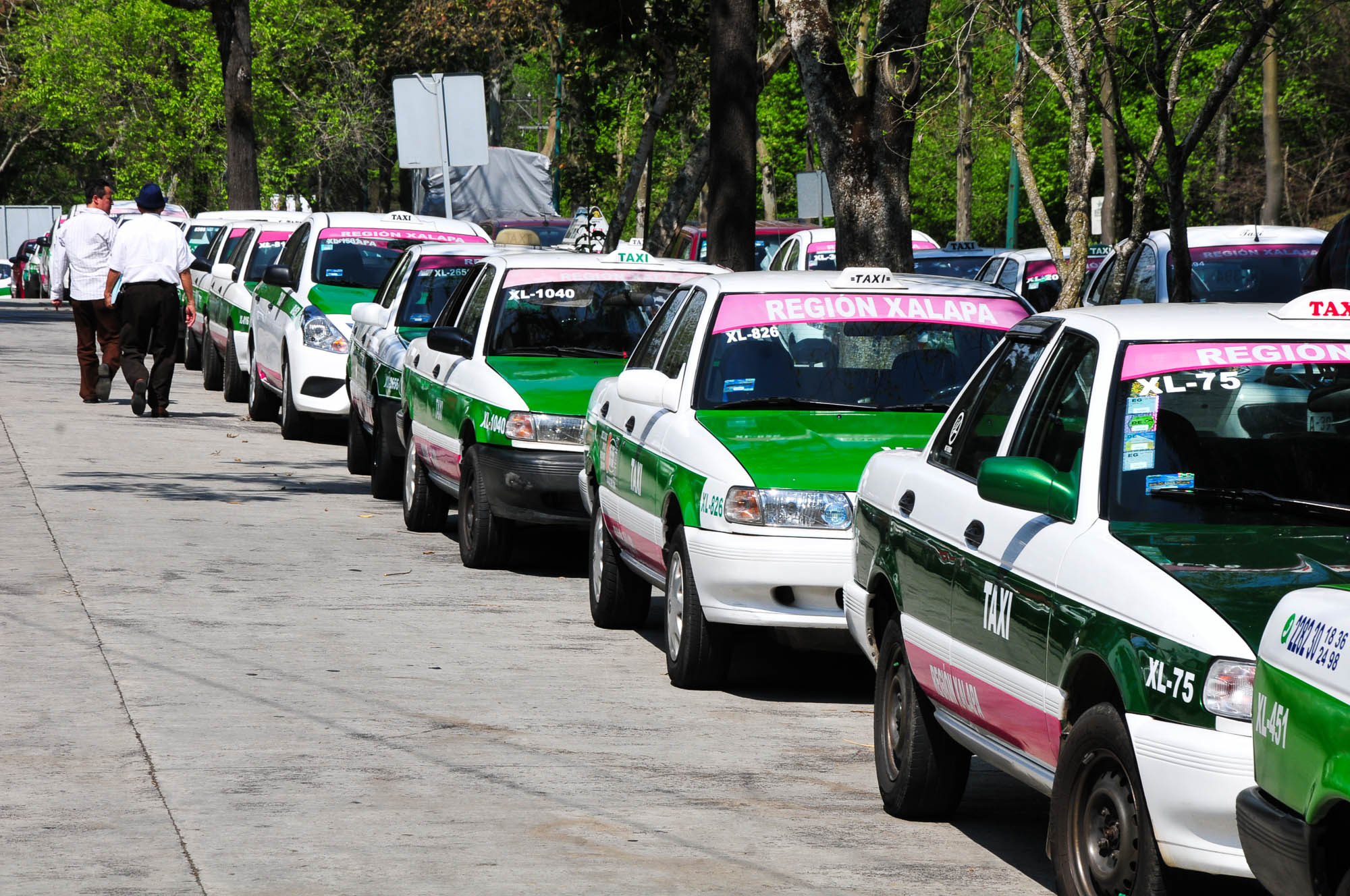 Taxis,Taxistas