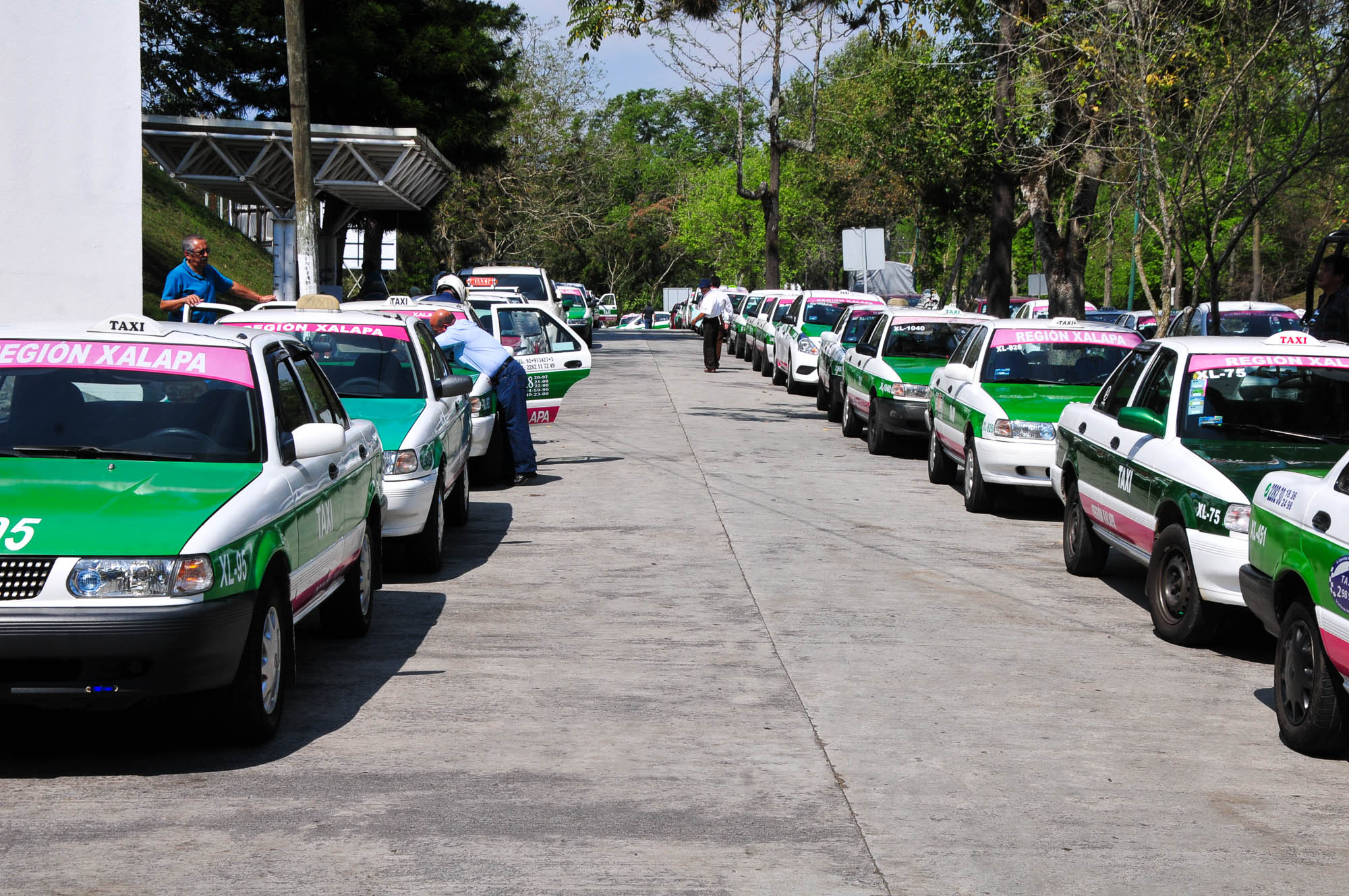 Taxis,Taxistas