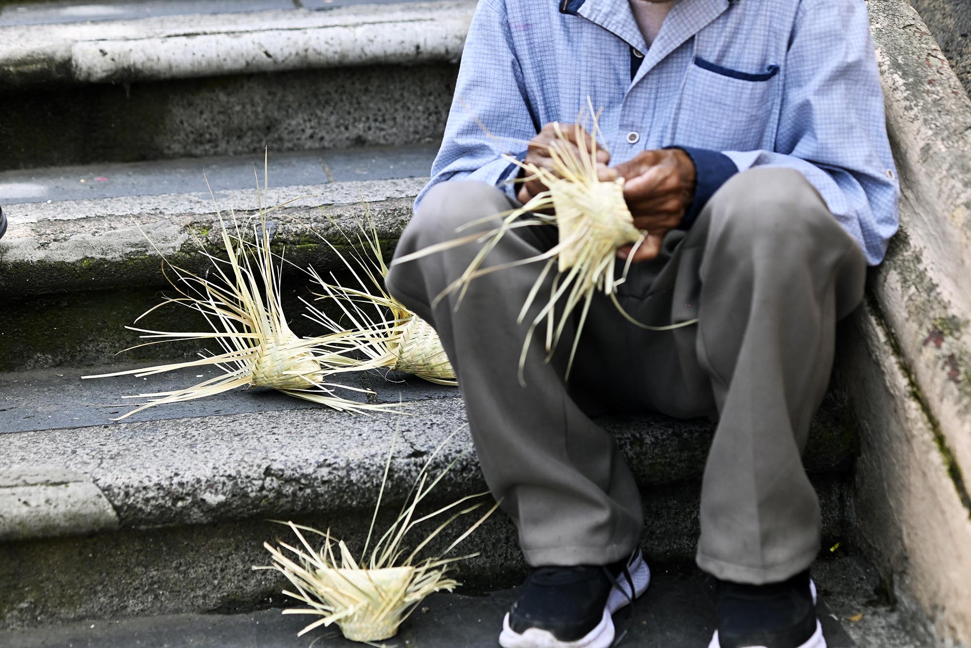 Tenates y Bolsas de  Palma