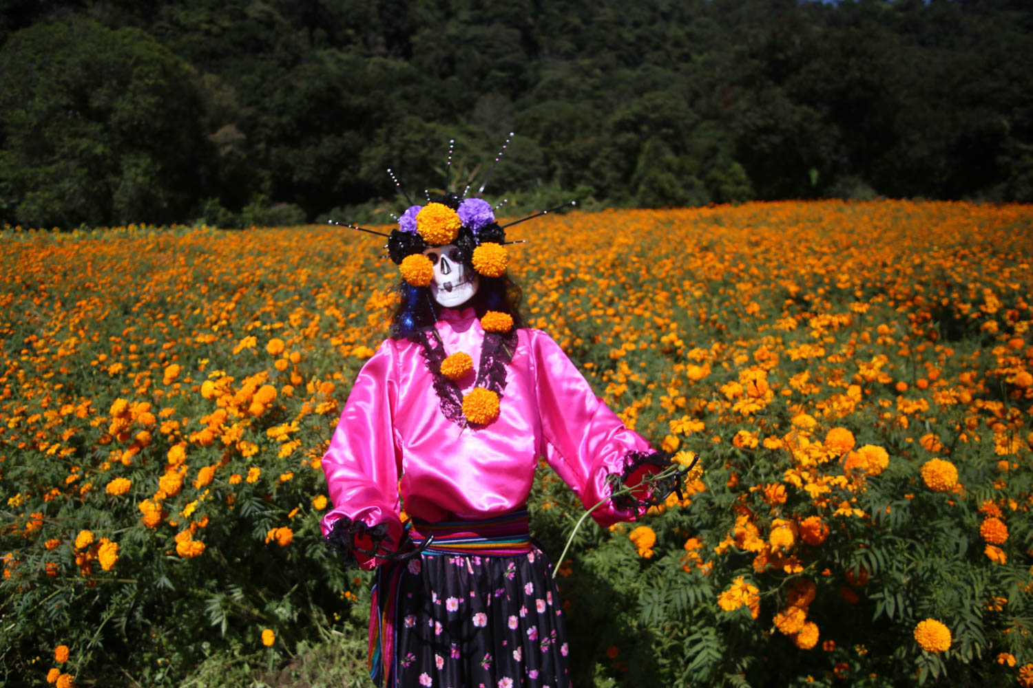 Festival de la flor de Cempasúchil