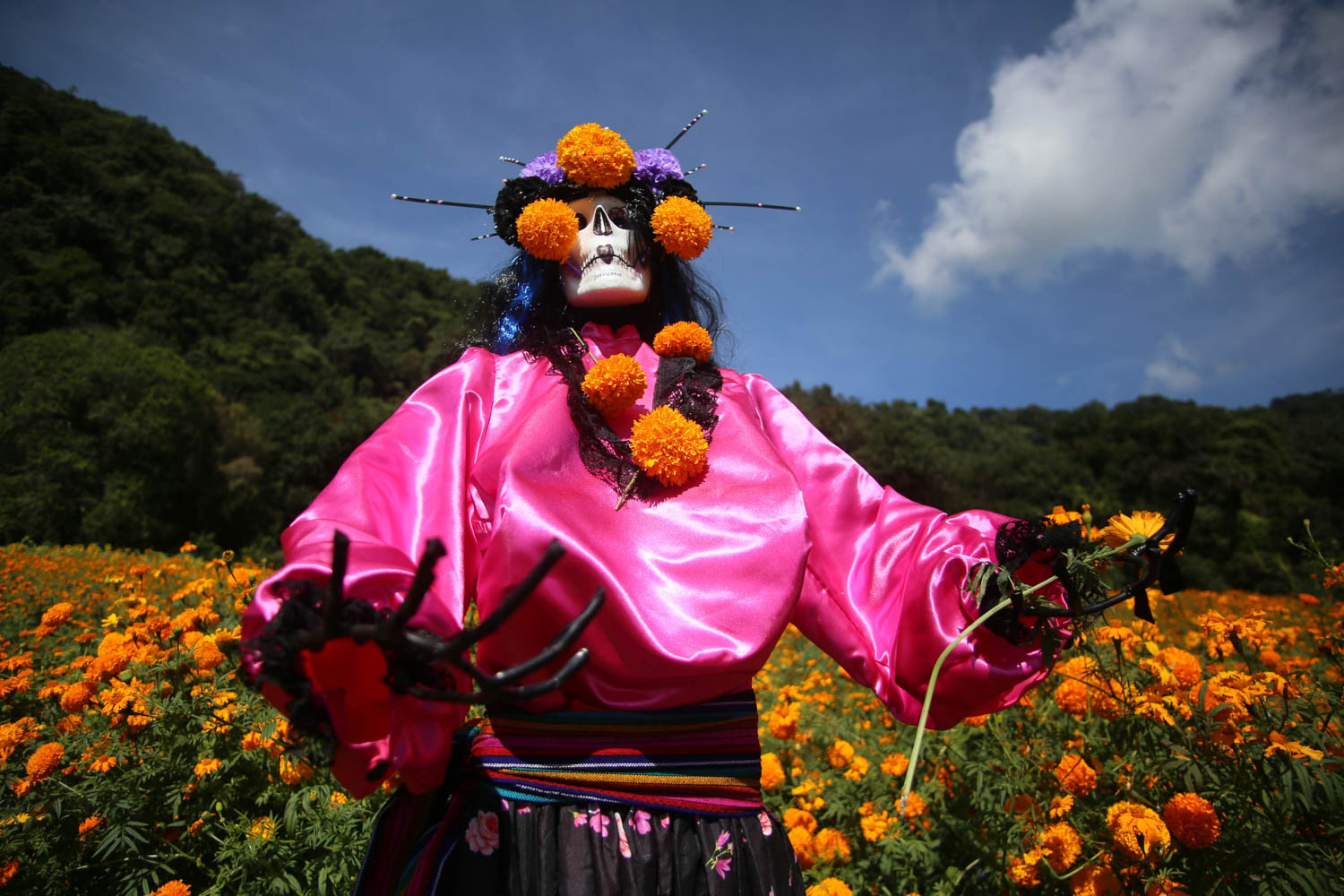 Festival de la flor de Cempasúchil