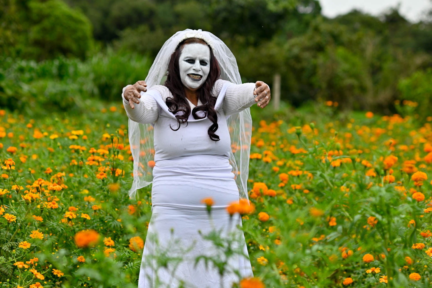 Festival de la flor de Cempasúchil