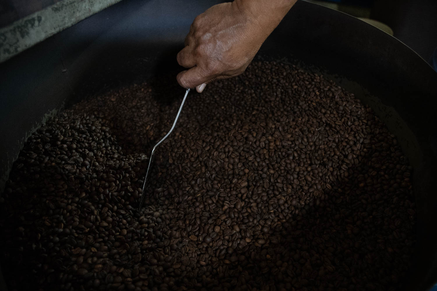 Productores de Café