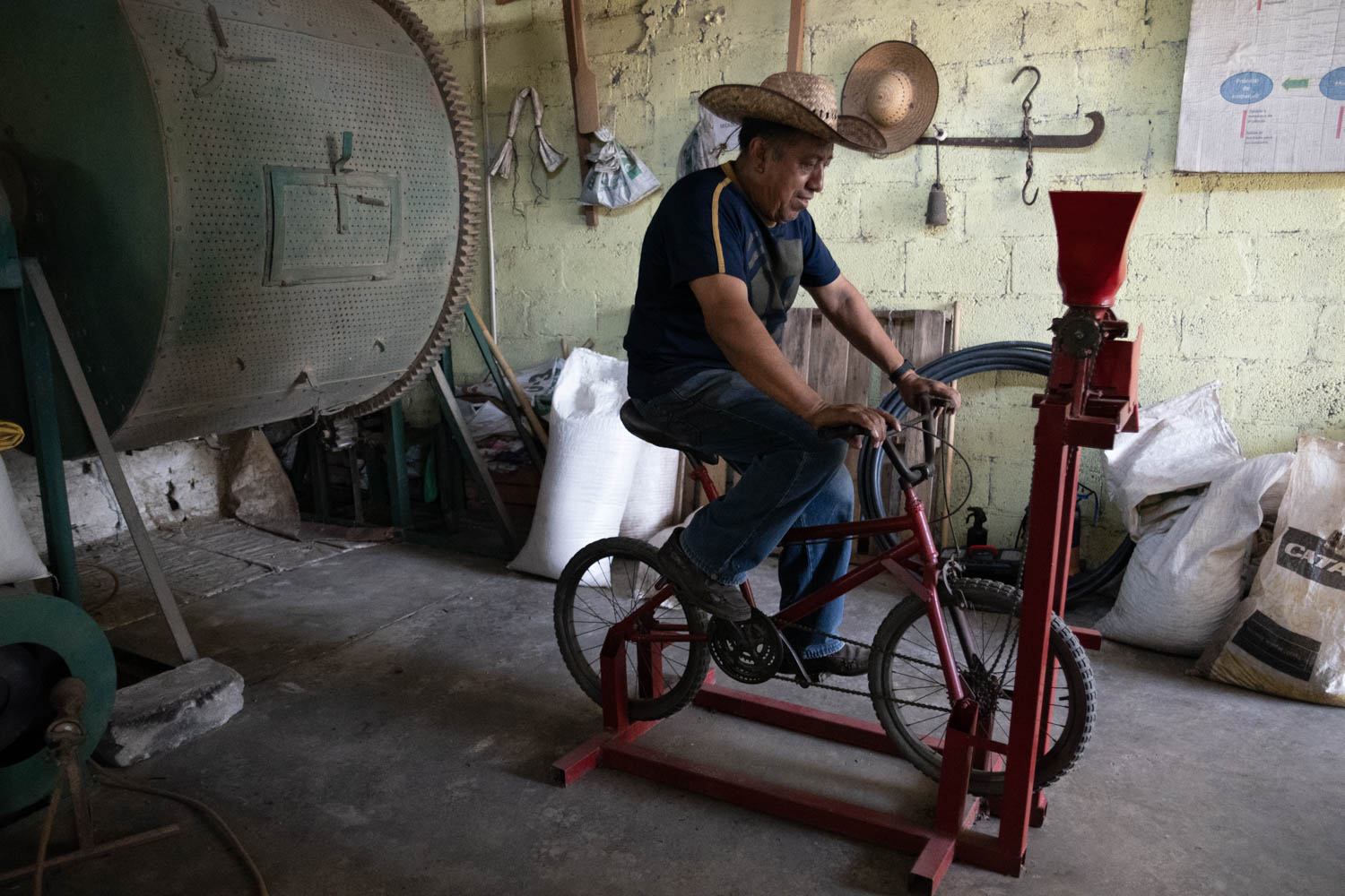 Productores de Café