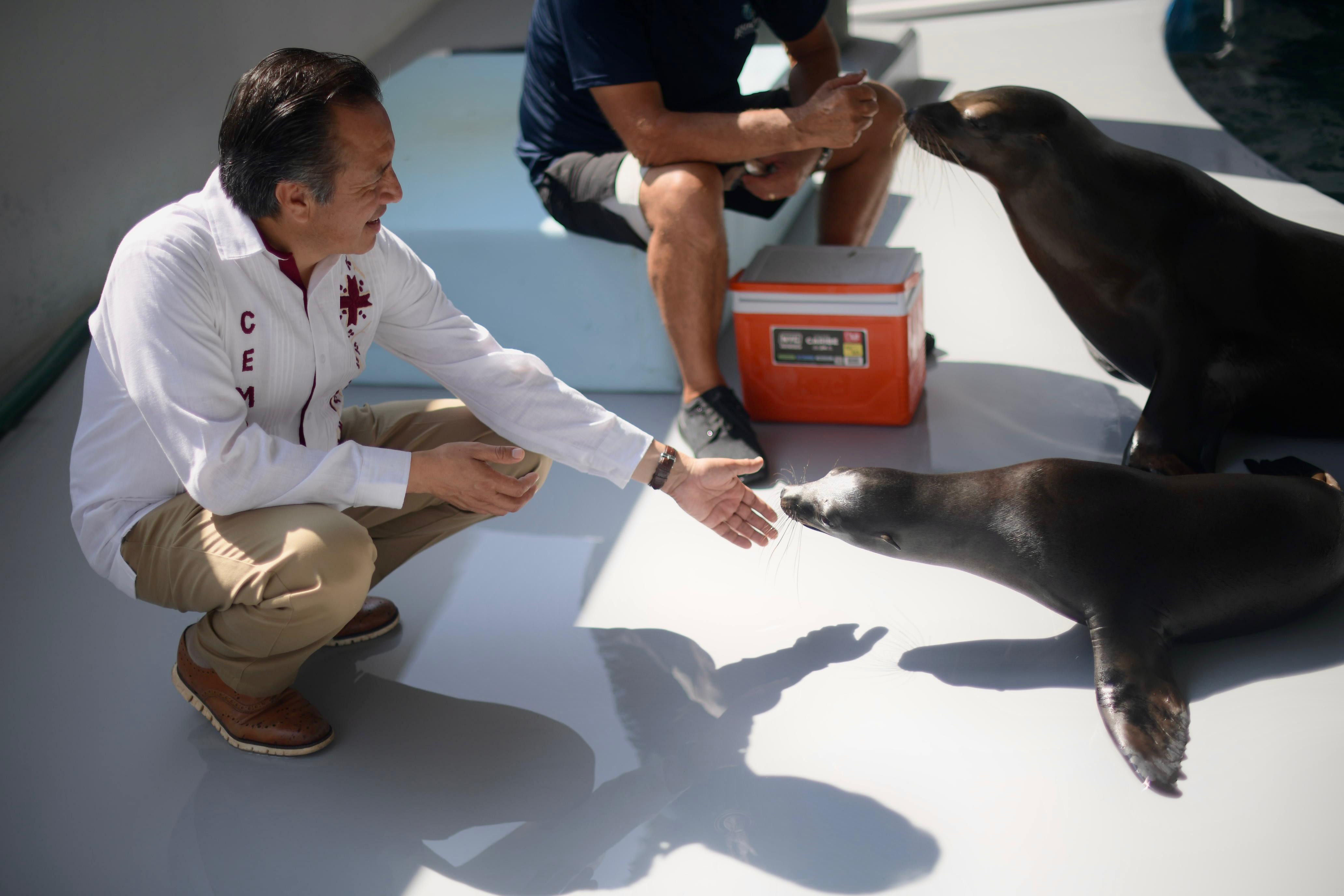 Inauguración del Acuario en Veracruz