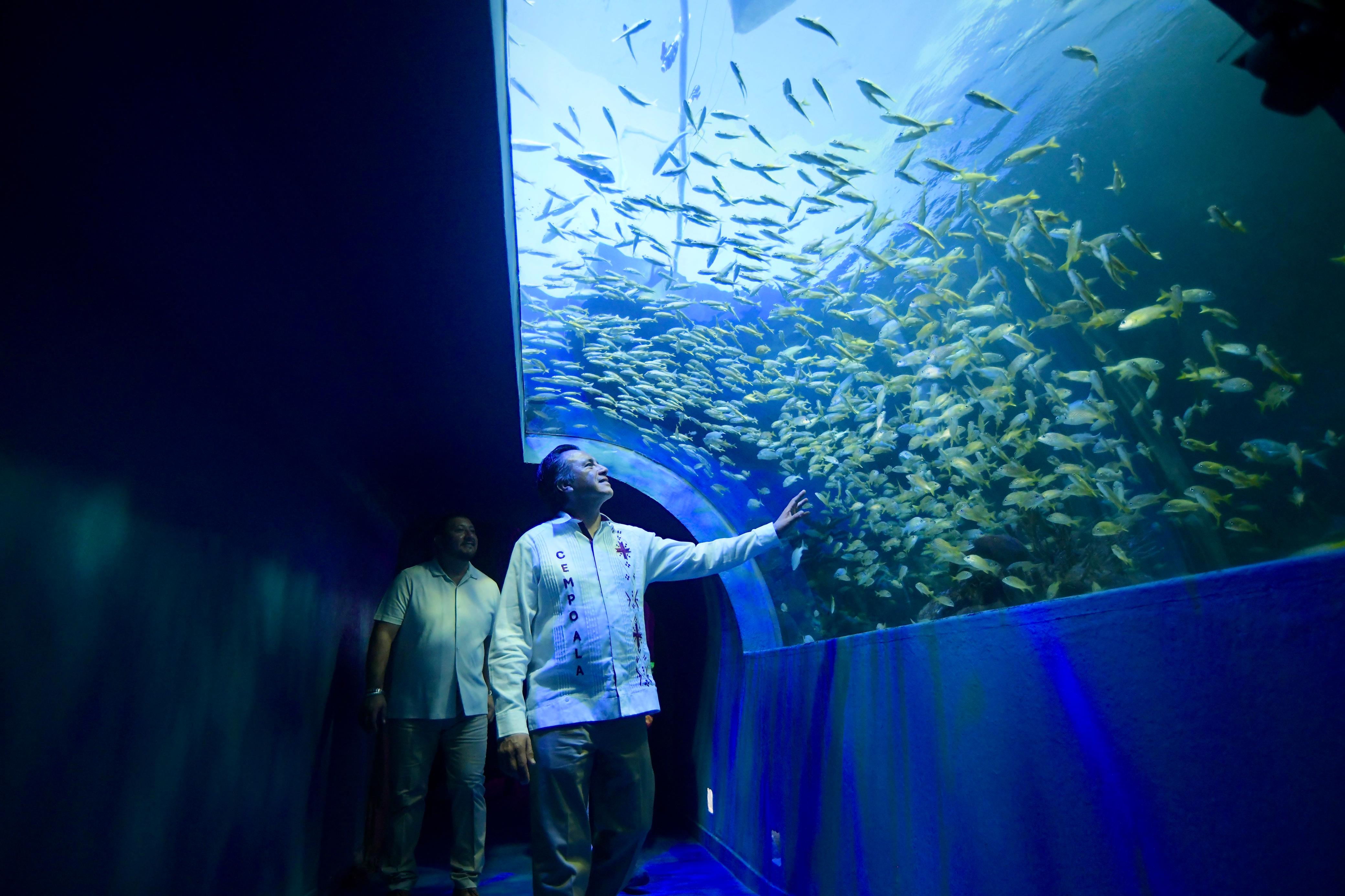 Inauguración del Acuario en Veracruz