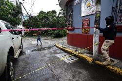 Cae enorme árbol en céntrica calle de Xalapa