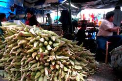 Mercado San José, una tradición en Xalapa