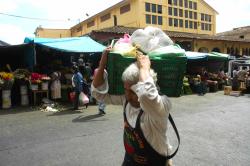 Mercado San José, una tradición en Xalapa