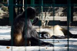 Zoológico en Veracruz