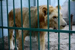 Zoológico en Veracruz