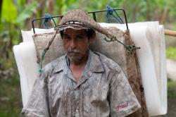 Campo Platanero en Veracruz al borde de la quiebra