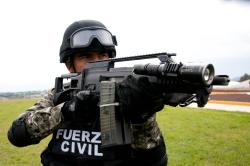 Fuerza Civil