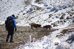 Se registra la cuarta nevada en el Cofre de Perote