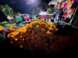 Mercado de la ciudad, listos para celebrar el Día de Muertos