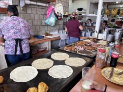 La gordita y la picada