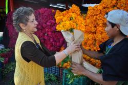 Flor de Cempasúchil o muerto