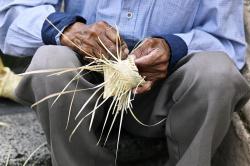 Tenates y Bolsas de  Palma