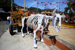 Festival de la flor de Cempasúchil