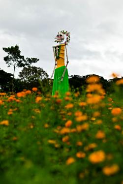 Festival de la flor de Cempasúchil