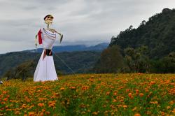 Festival de la flor de Cempasúchil